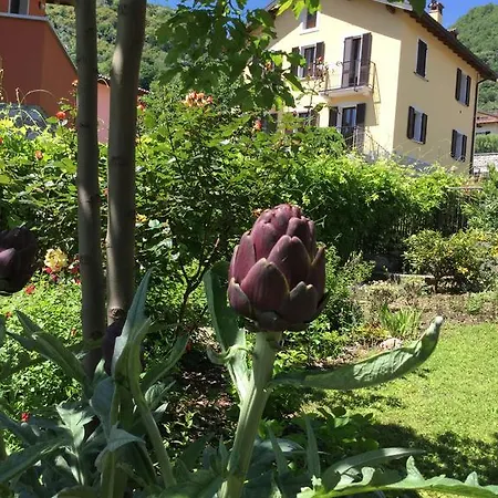 Il Giardinetto Ossuccio